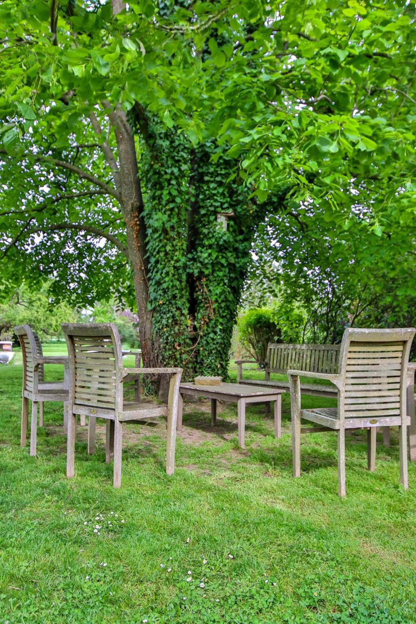 Domaine D'Aromm - Chambres D'Hotes & Gites - Piscine, Etangs & Animaux - Au Calme Ouches ภายนอก รูปภาพ