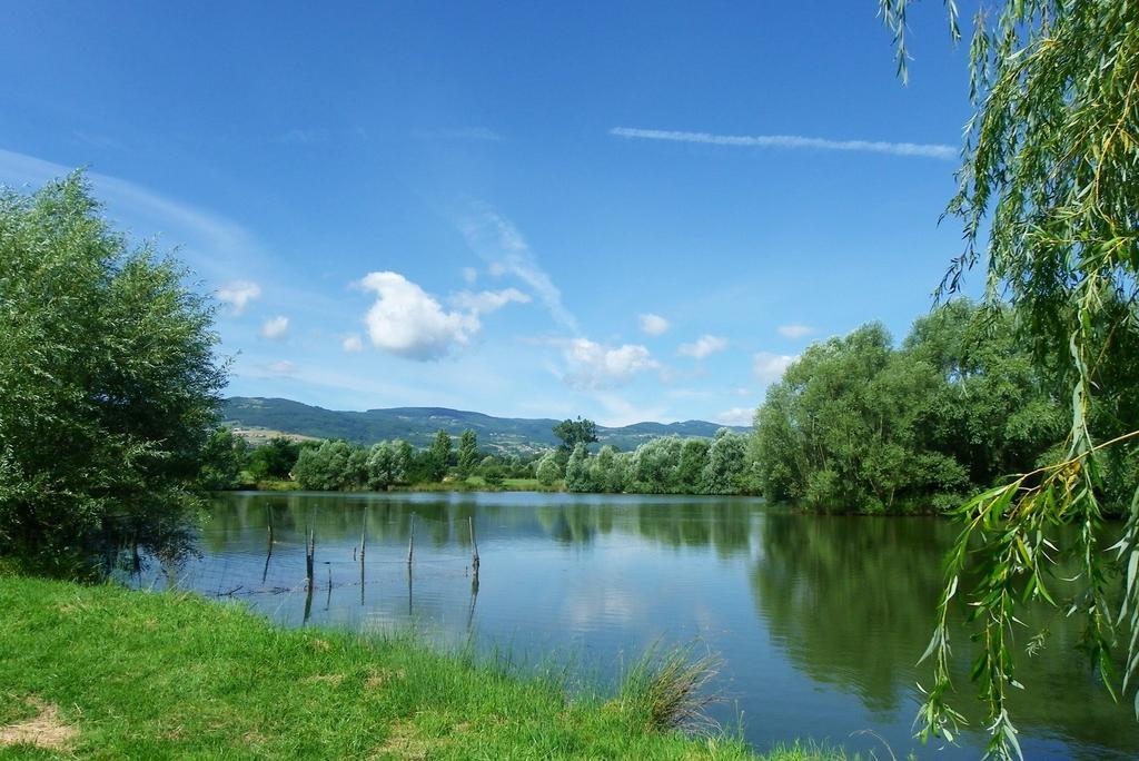 Domaine D'Aromm - Chambres D'Hotes & Gites - Piscine, Etangs & Animaux - Au Calme Ouches ภายนอก รูปภาพ