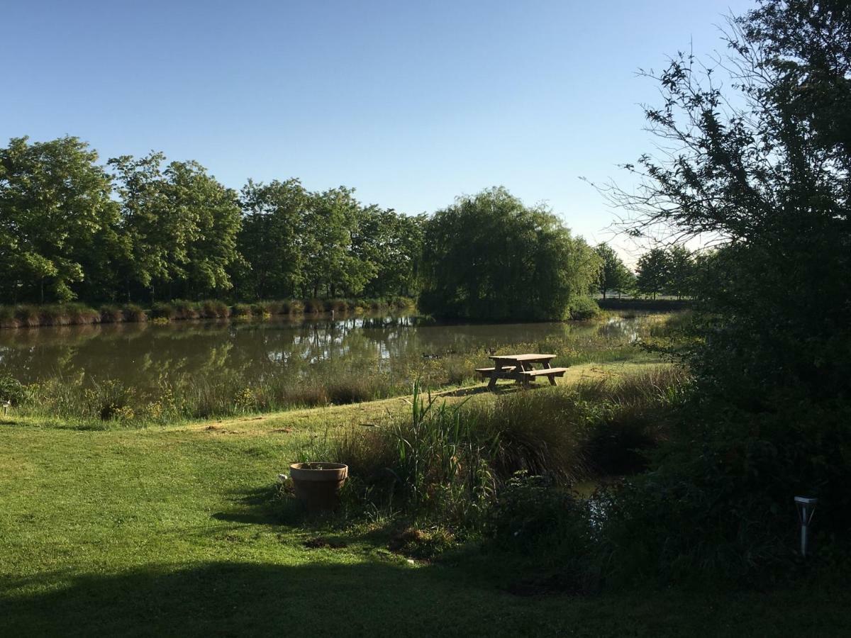 Domaine D'Aromm - Chambres D'Hotes & Gites - Piscine, Etangs & Animaux - Au Calme Ouches ภายนอก รูปภาพ
